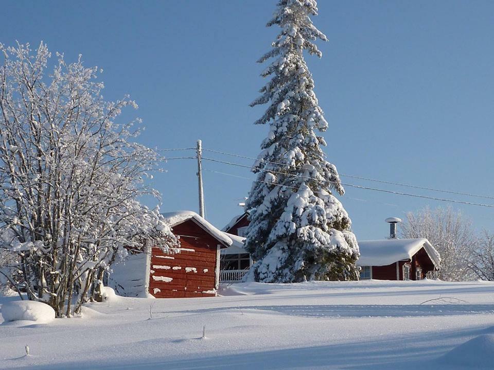 Loma Rinteelae Villa Suonenvaara Eksteriør bilde